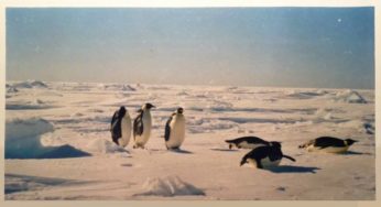Oxford MBA Student Travels To Antarctica To Raise Environment Issues