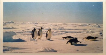 one-year-mba-in-uk-oxford-said-oxford-mba-student-on-antarctica-trip-to-raise-environment-issues-mba-experience