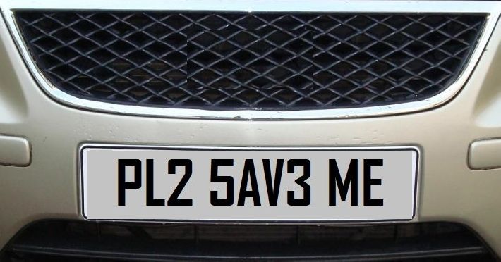 BAN POLLUTING CARS, NOT OLD ONES - SIGN THE PETITION ASKING NGT TO